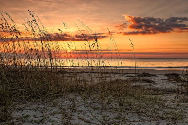 sunset hilton head folly field