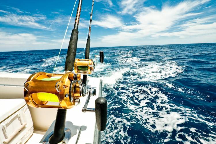 Fishing pole on a boat on a deep sea fishing charter