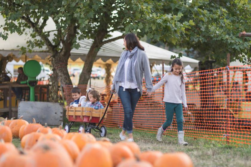 mother and child at a fall pumpkin patch