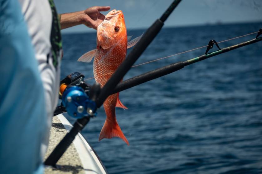 person holding a snapper on a fishing trip