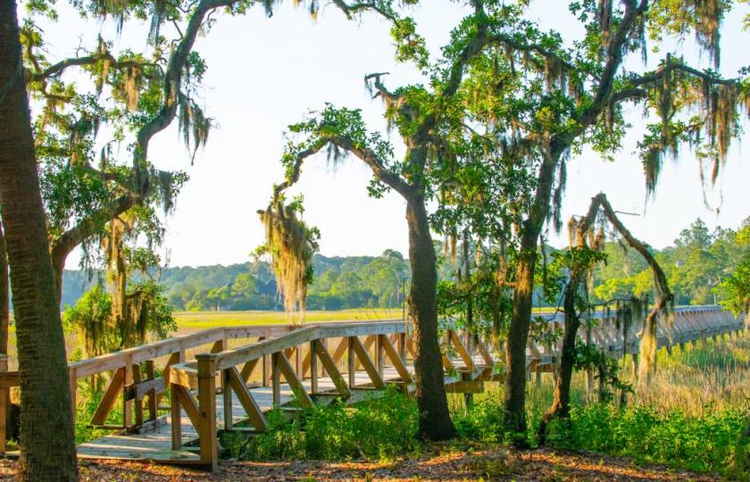 boardwalk over marshland 