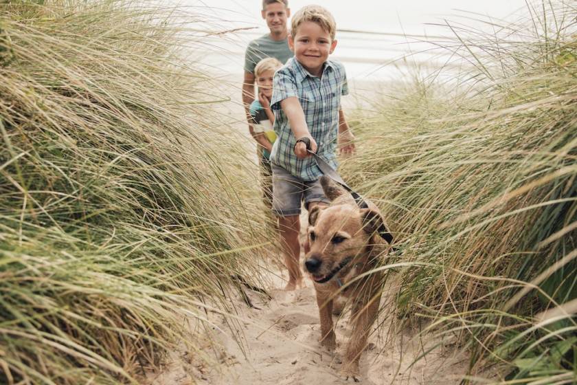 little boy walking his dog on the beach